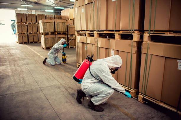 Best Best Pest Control Companies  in Chillicothe, MO