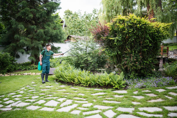Trusted Chillicothe, MO Pest Control Experts
