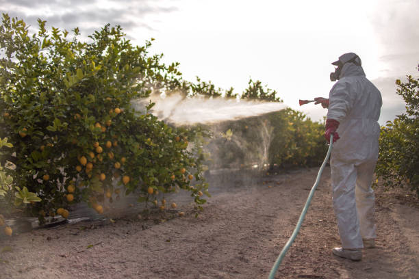 Best Insect Control  in Chillicothe, MO