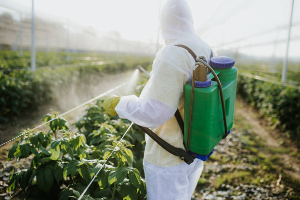 Best Pest Inspection Near Me  in Chillicothe, MO